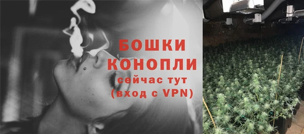 ешки Арсеньев