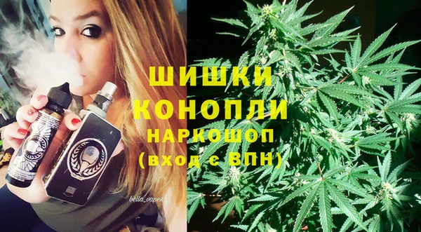 ешки Арсеньев