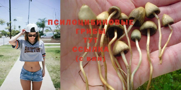 хмурый Баксан